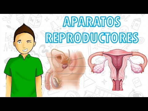 APARATOS REPRODUCTORES Para todos