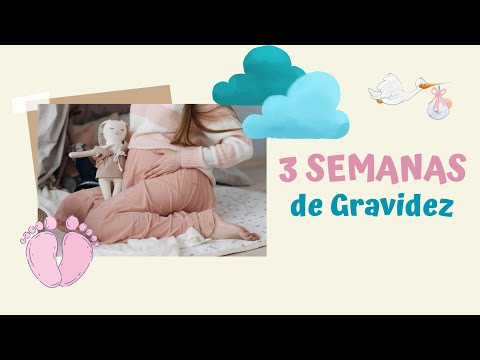 3 SEMANAS DE GRAVIDEZ: SINTOMAS + COMO ESTÁ O SEU BEBÊ? | 1º TRIMESTRE DA GESTAÇÃO