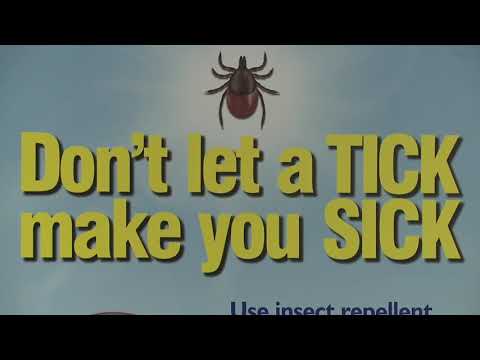 Tick Borne Disease