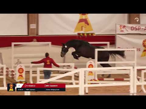 Lot 7 v. Cicero Z / Cassini II