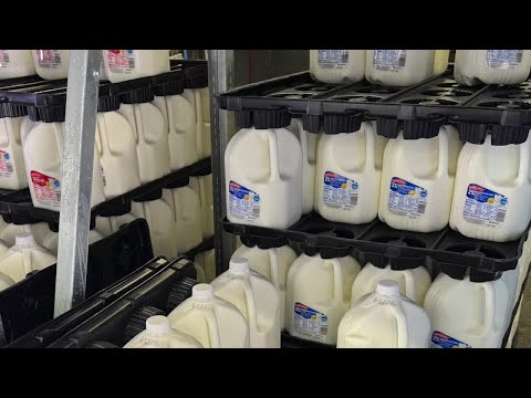 Comparing prices of grocery staples at Walmart, Aldi, Kroger and Meijer