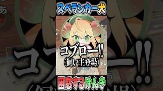 突如起きた出来事に困惑するけんき【たここ/シェロリ/けんき/切り抜き/ストグラ】#けんき #切り抜き