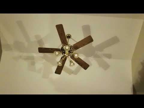 Ceiling fans in my house