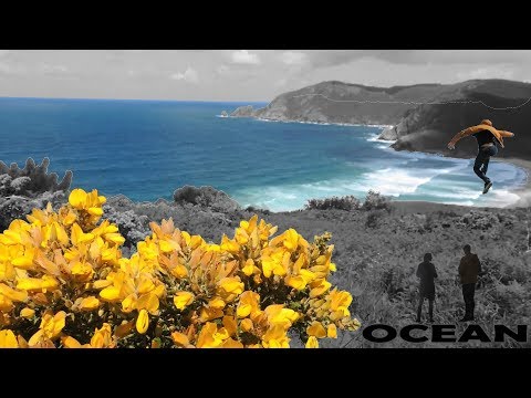 Ocean (The Road - Flying Decibels)