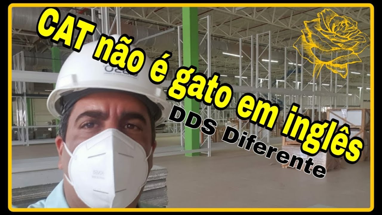 CAT NÃO É GATO EM INGLÊS - DDS Diferente | @PedroRosasEngenheirodeGente  #96