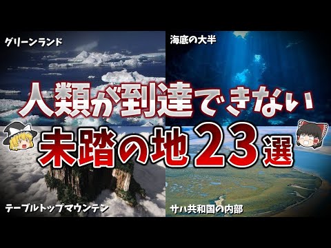 世界で最も暑い砂漠: 研究者が隠れた生き物を発見