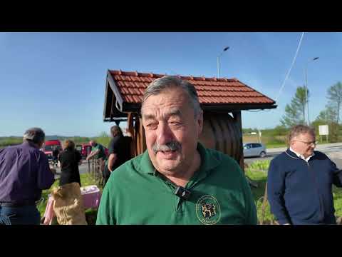 Vinograd na kružnom toku