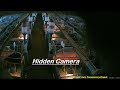 Anonymous Activists Capture Bestiality Incident 11 Feb 2024 Censored