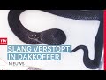 Gezin uit Emmen schrikt zich rot bij thuiskomst vakantie & torenhoge energieprijzen | RTV Drenthe