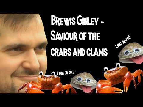 Brewis Ginley - Saviour Of The Crabs And Clams