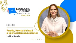 Poziția, funcția de bază și igiena sistemului excretor