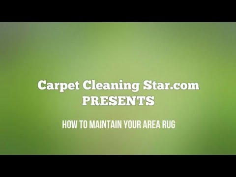 Carpet Cleaning Star | 786-540-4020 | How to Maintain your Area Rug