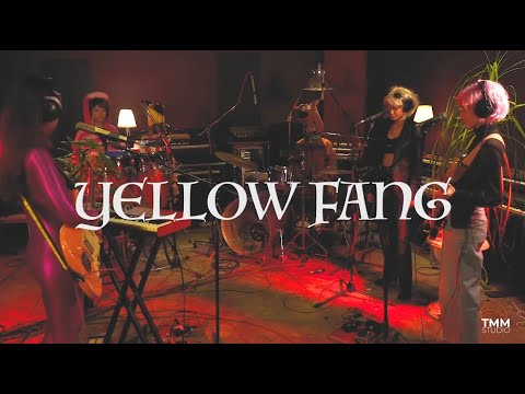 Yellow Fang | LIVE FOR TMM SESSION