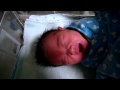 Rosie Kuo Crying