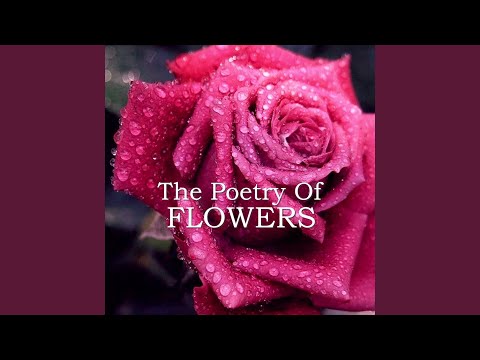 Video thumbnail for William Wordsworth - Daffodils