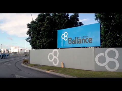 Ballance Agri-Nutrients | Digital Road Mapping | Zag