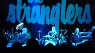 Stranglers - waltzinblack/Toiler on the Sea - Salisbury 2013