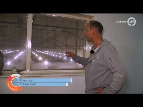 GLD Nieuws 23 oktober 2020