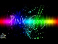 Pink Floyd - " Pigs On The Wing / Dogs " 