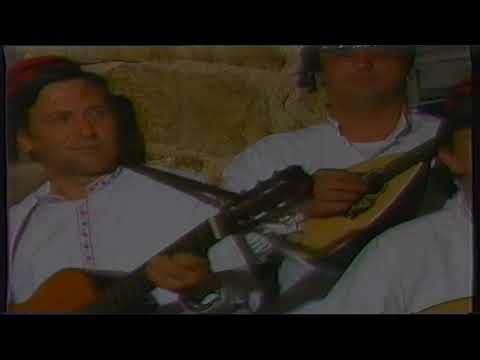 KLAPA SRDELA Posadi bilu ružu  80  te