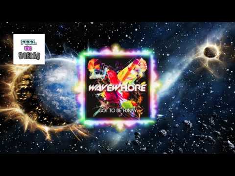 Wavewhore - 'Got To Be Funky'