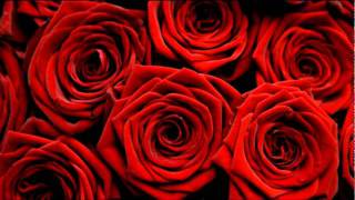 Marc Anthony   I Need You Lyrics