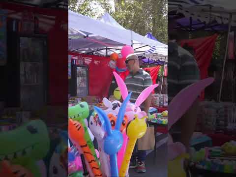 🍇 Live the Harvest Festival in Chile 🇨🇱 | Isla de Maipo Experience