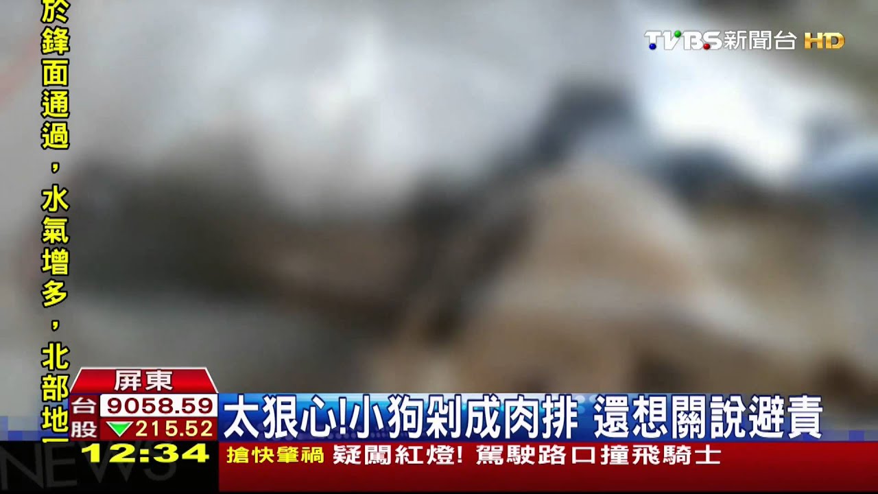 ​太狠心！小狗剁成肉排　還想關說避責