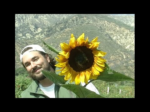 Fiji Blue - Hug (Official Lyric Video)