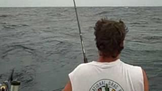 preview picture of video 'landing large chinook salmon in grand haven michigan on lake michigan'