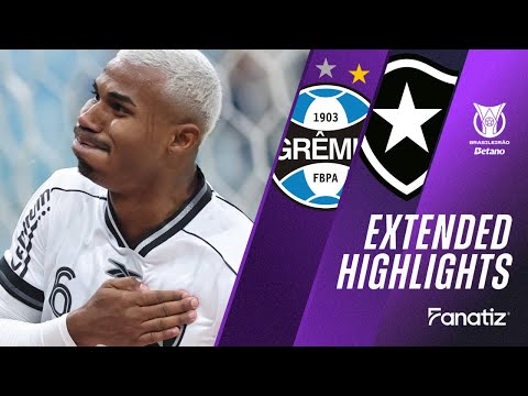 Gremio vs. Botafogo 1 - 1 I Game Highlights I Brasileirão 2025