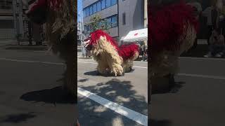 Download lagu Dragon dancer mp3