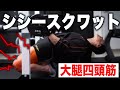 【田野流】シシースクワットのやり方を解説!大腿四頭筋を破壊する驚異の自重トレーニング!