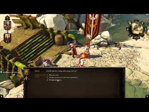 Steam Community :: Video :: Divinity: Original Sin Gameplay