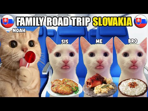 CAT MEMES FAMILY ROAD TRIP SLOVAKIA