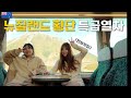 뉴질랜드 횡단열차 리뷰 【뉴질랜드 여행 트랜즈알파인 tranzalpine train】