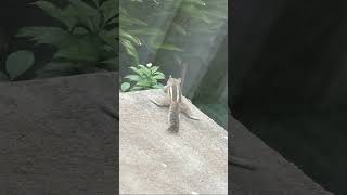 Jump#jump #kpop #blackpink #trending #harshilpurohit #love #travel #fyp #viral #life #blink