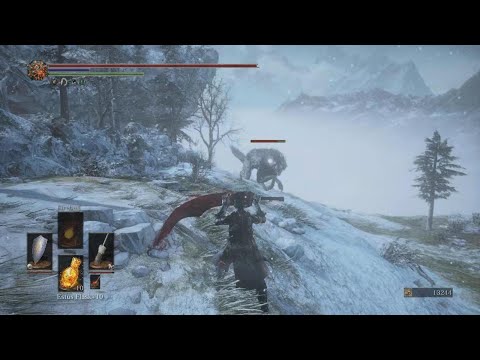 DARK SOULS 3 Giant Wolf Fight