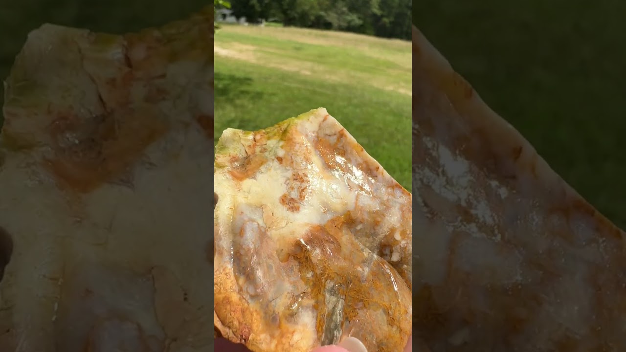 Savannah River Agate #1