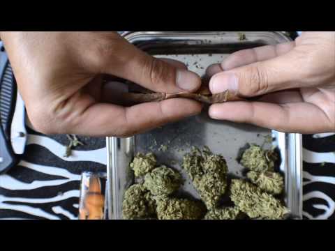 download lagu mp3 mp4 Smoking Shrooms, download lagu Smoking Shrooms gratis, unduh video klip Smoking Shrooms