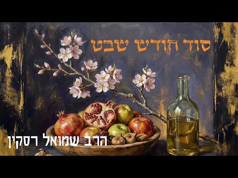 What is the connection between: Shevat Asher, the Book of Deuteronomy, the number 11, and the mon...