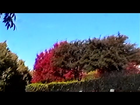 Video thumbnail for ​still not over you
