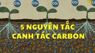 Nông trại Carbon: Giải pháp ngay dưới chân ta (Phần 2) || 5 nguyên tắc canh tác carbon