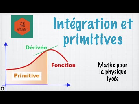 Integration and primitives