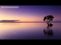 Calvin Harris - Potion ft Dua Lipa & Young Thug (J Bruus Remix)