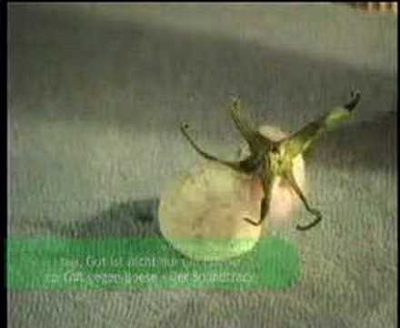 "Gut gegen Boese" Teil 1 von Raul C.O.Kauke