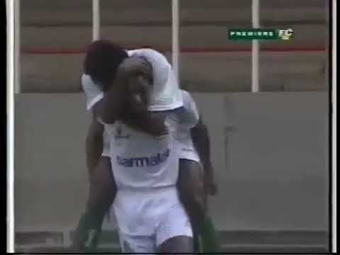 Saulo da Fé (Palmeiras) - 06/11/1993 - Atlético-MG 2x3 Palmeiras - 1 gol