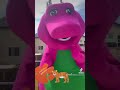 Here Kitty Kitty Subscribe