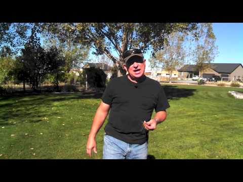 芝生のエアレーション – なぜ、いつ、どのように行うのか