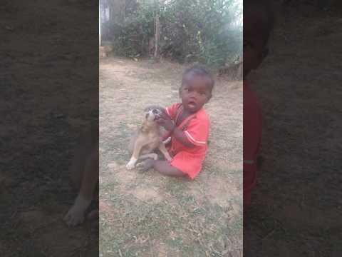 Child biting the dog